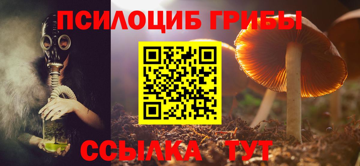 Псилоцибиновые грибы GOLDEN TEACHER  Галлюциногенные грибы прущие грибы  Татарск  Вход с VPN 