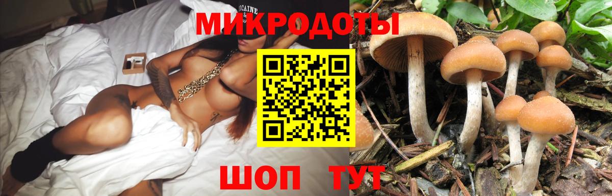 Галлюциногенные грибы ЛСД Татарск